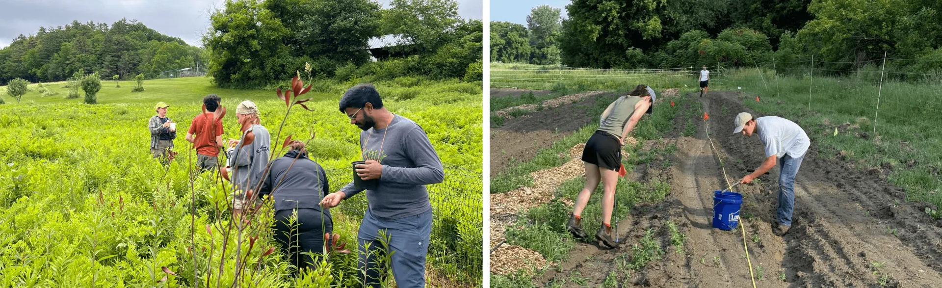 Researchers and participants in the field