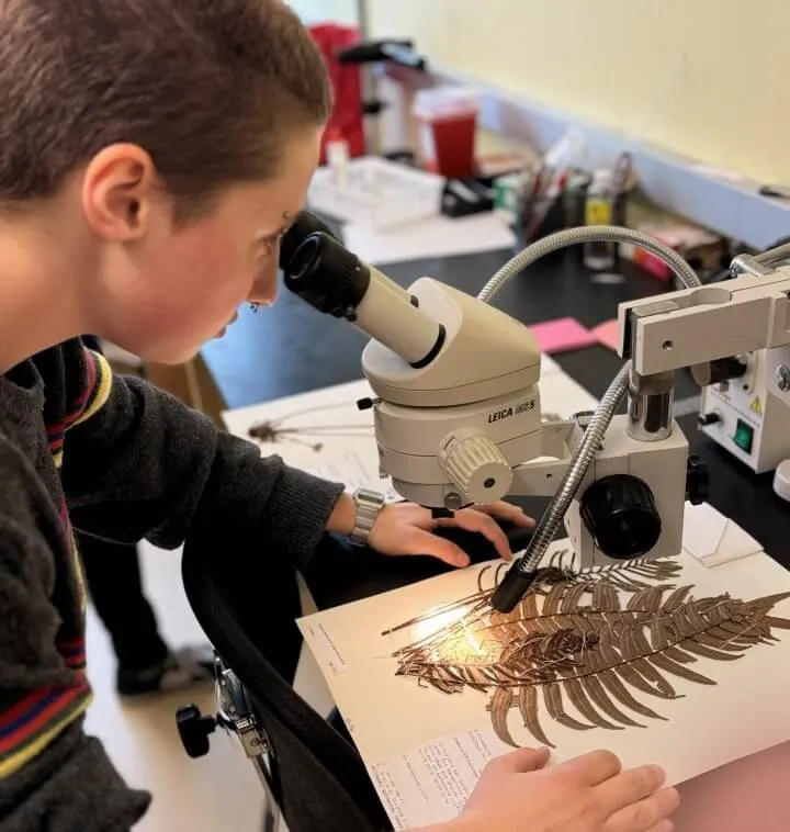 a young person looks through a microscope at a fern specimen