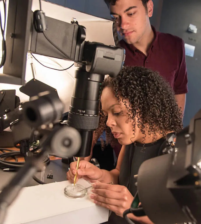 Two people examining a sample under a camera setup in a lab.