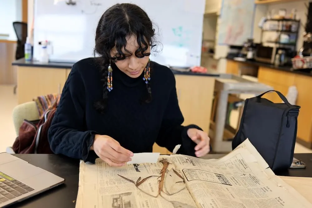 a woman looking at a dried plant specimen laid on newspaper