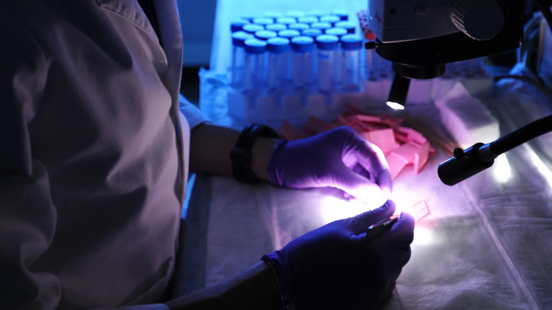 close up of gloved hands working with something under a small spotlight