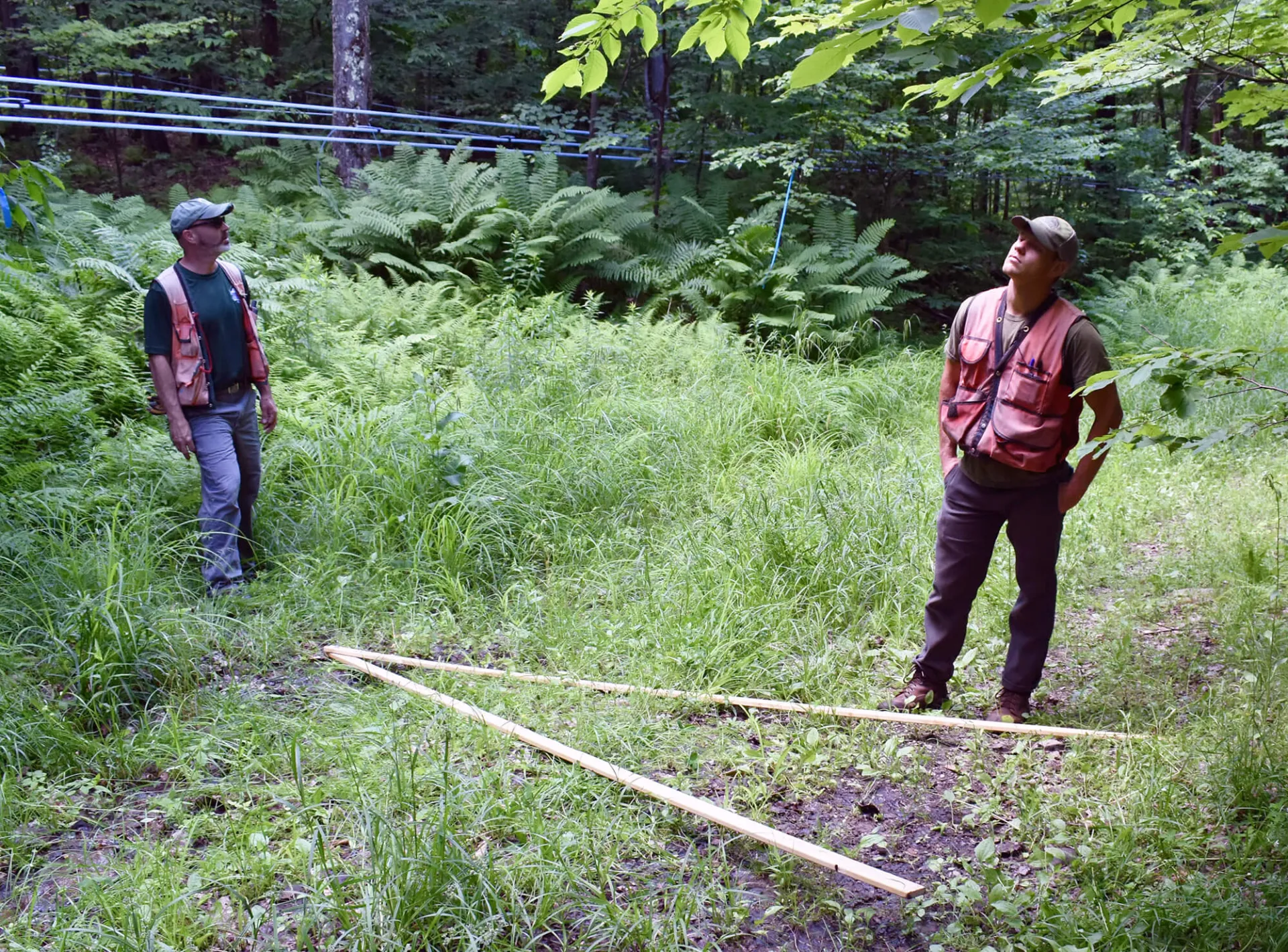 two men standing in a forest