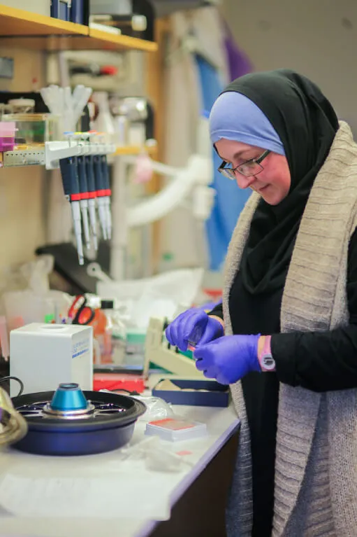 A person wearing a headscarf and gloves is working at a laboratory bench with scientific equipment, including pipettes, a centrifuge, and various containers