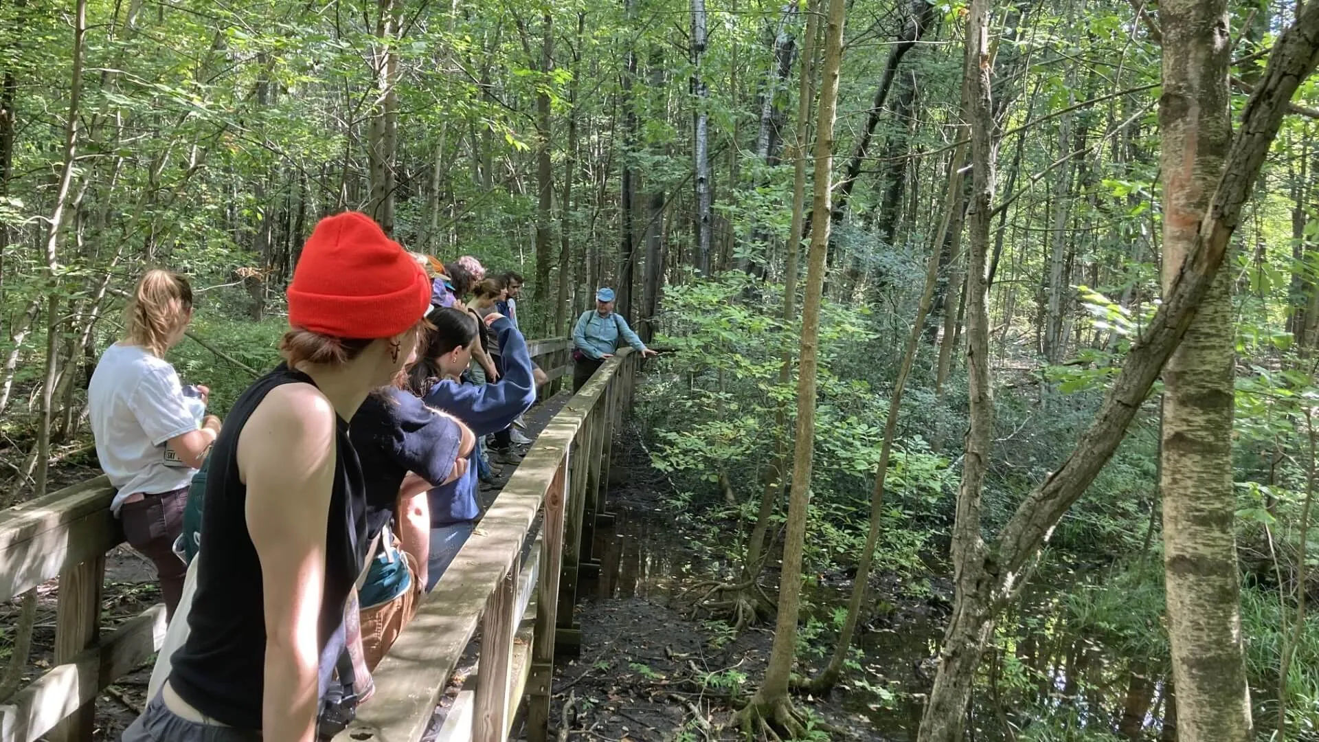 students standing on a wooden bridge in the forest.