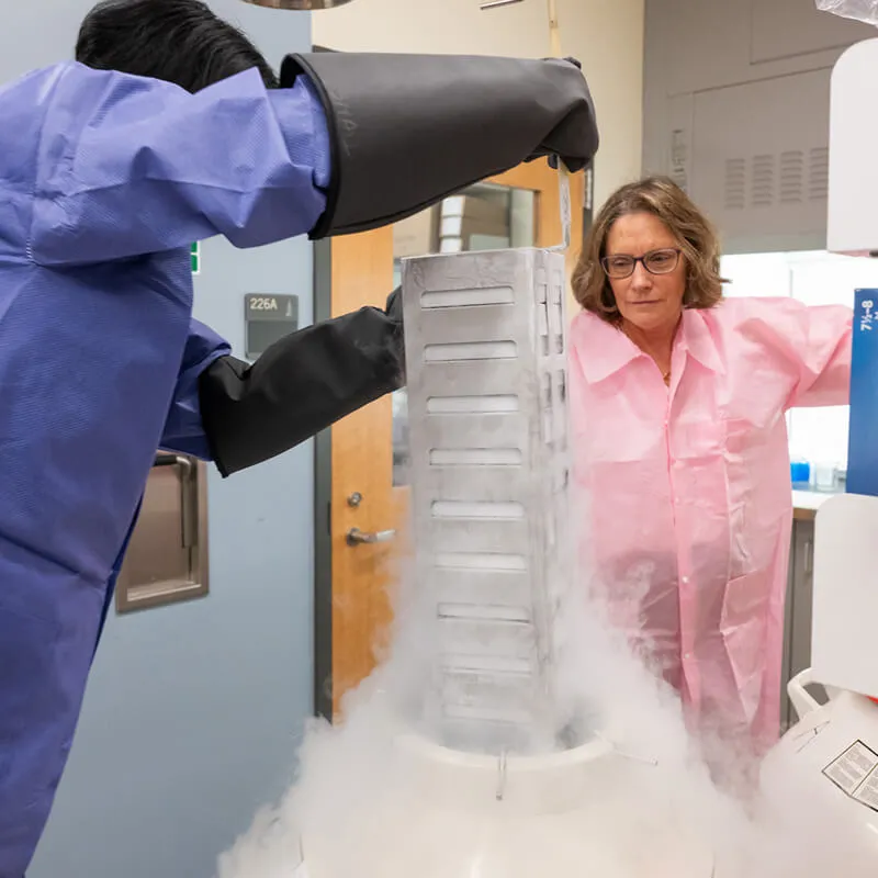2 people in a laboratory remove frozen samples from cold storage