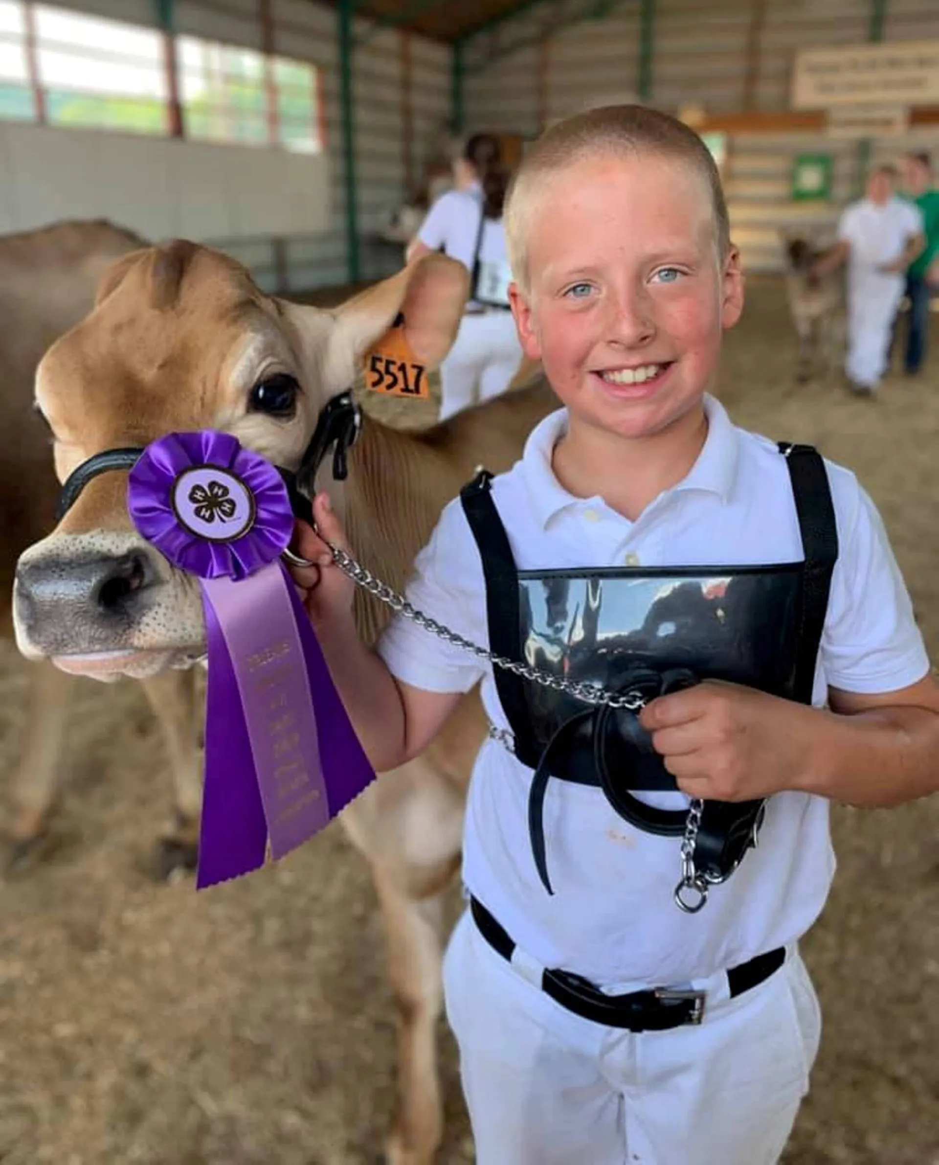 young boy with his prize cow