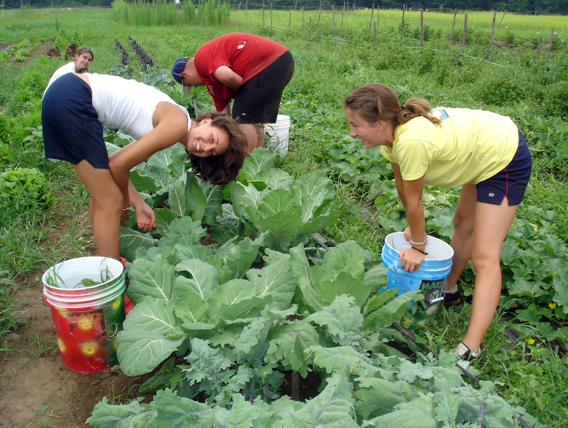 3 young adults working in a field