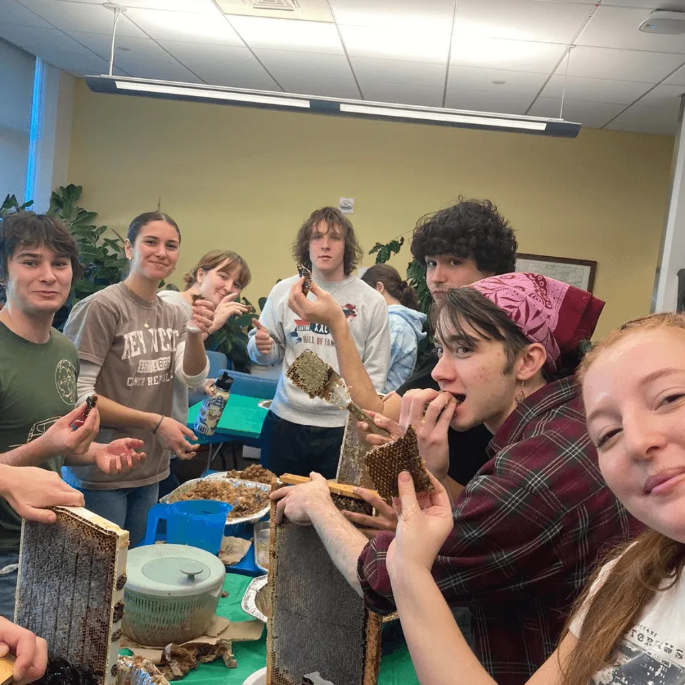 Student beekeepers working on honey harvest