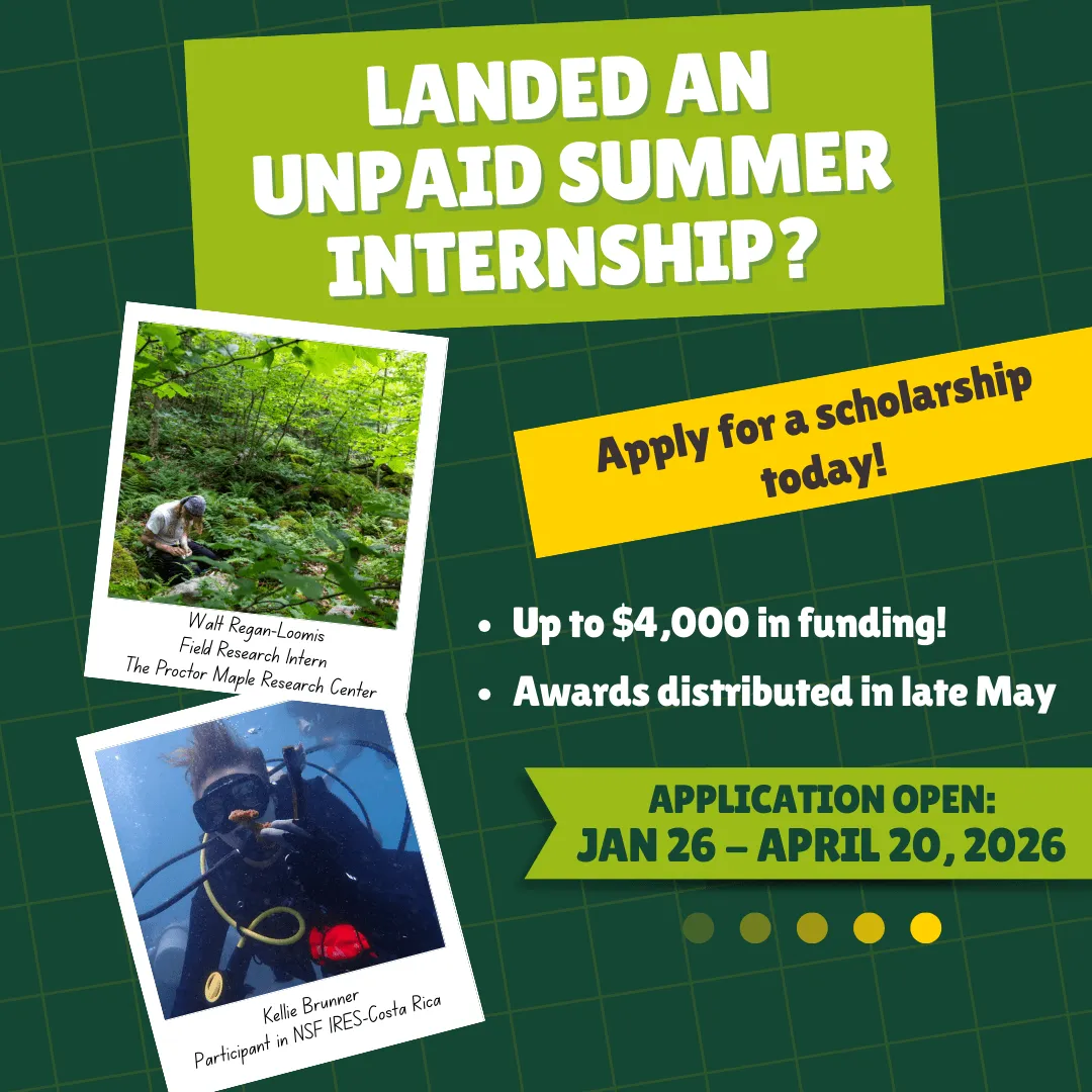 Current flyer for the summer internship scholarship.