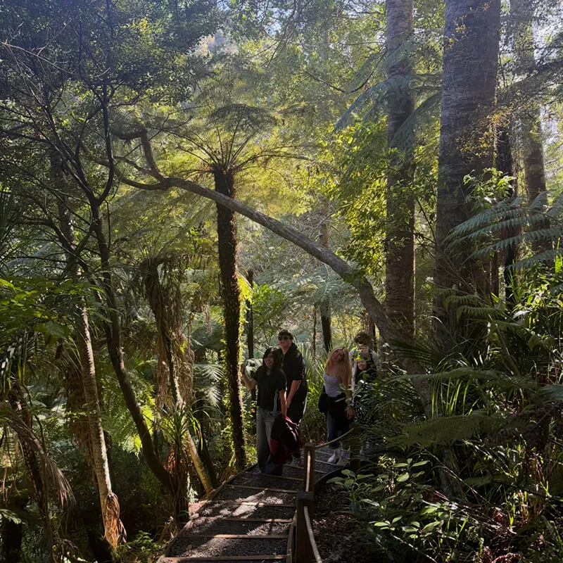 Students walk along a forest trail surrounded by dense greenery.