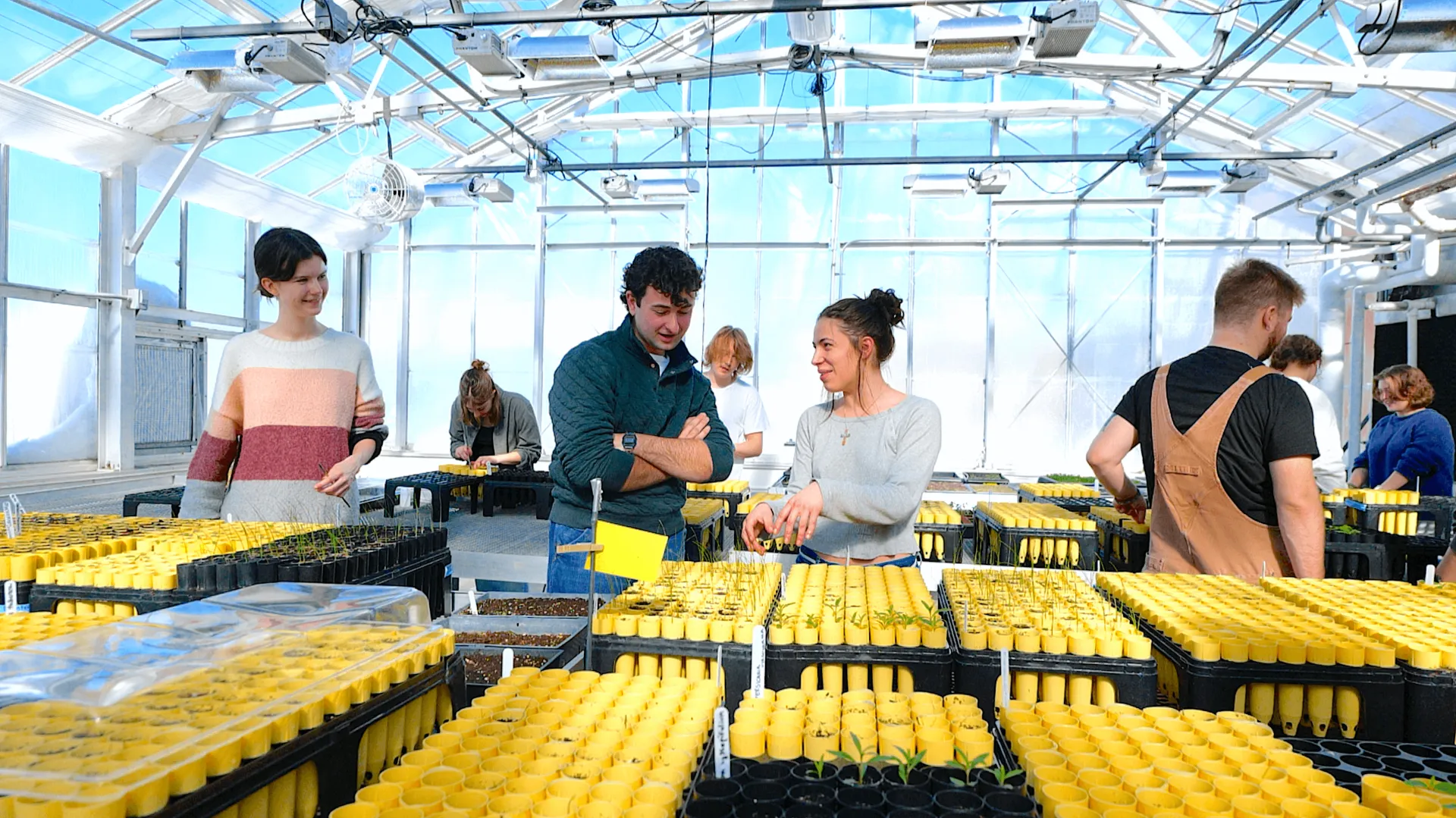 Students working in the Greenhouse
