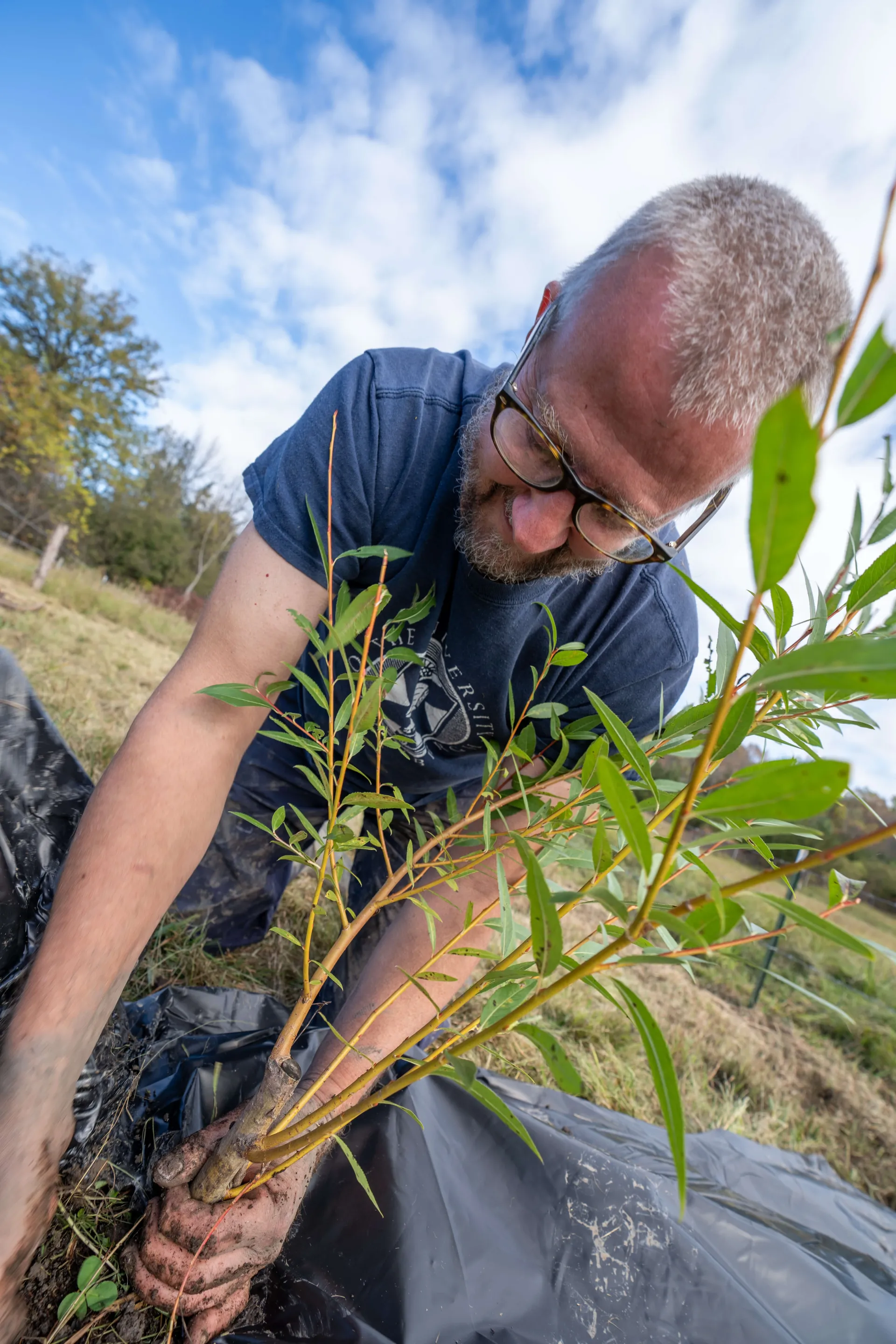 Planting with scenic background