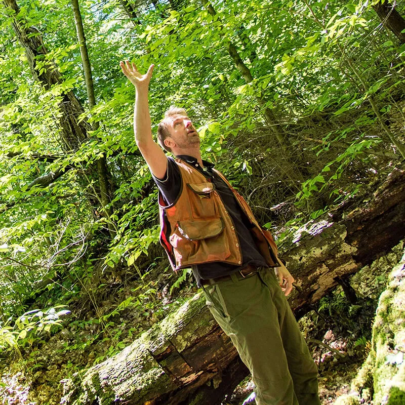 A person standing in a wooded forest.