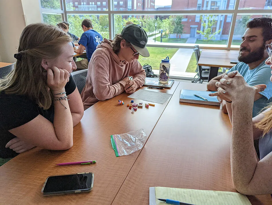 Students working on a class project