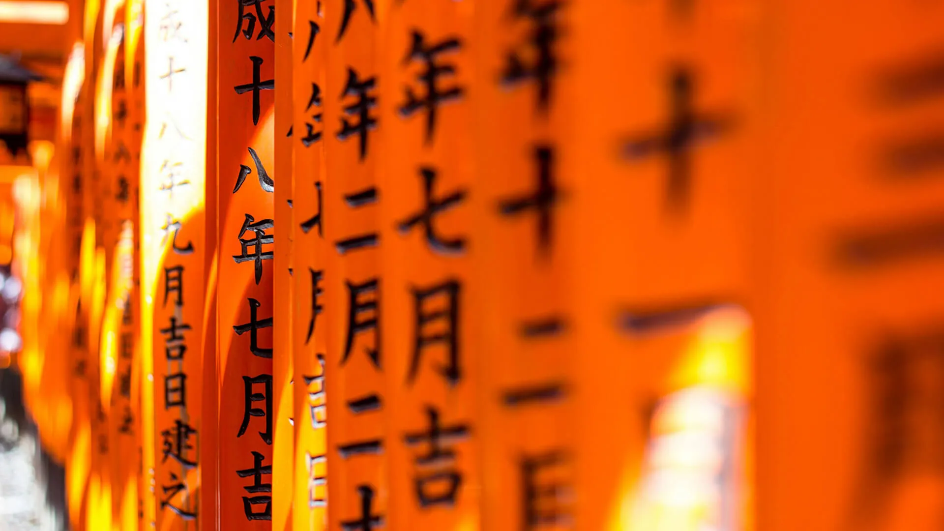 Orange Japanese lanterns with black kanji in soft focus.