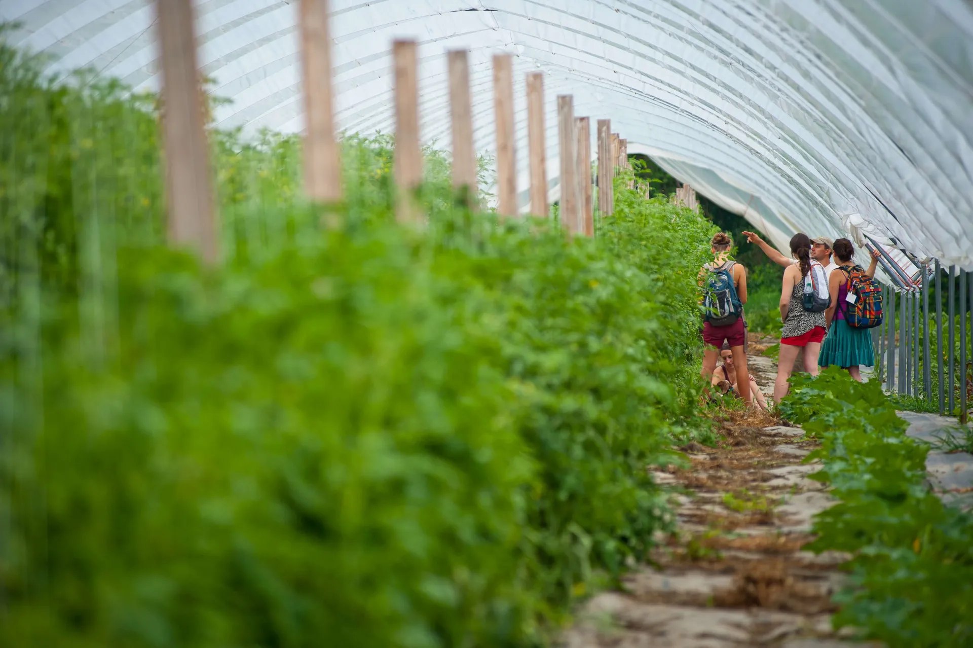 Students in green house