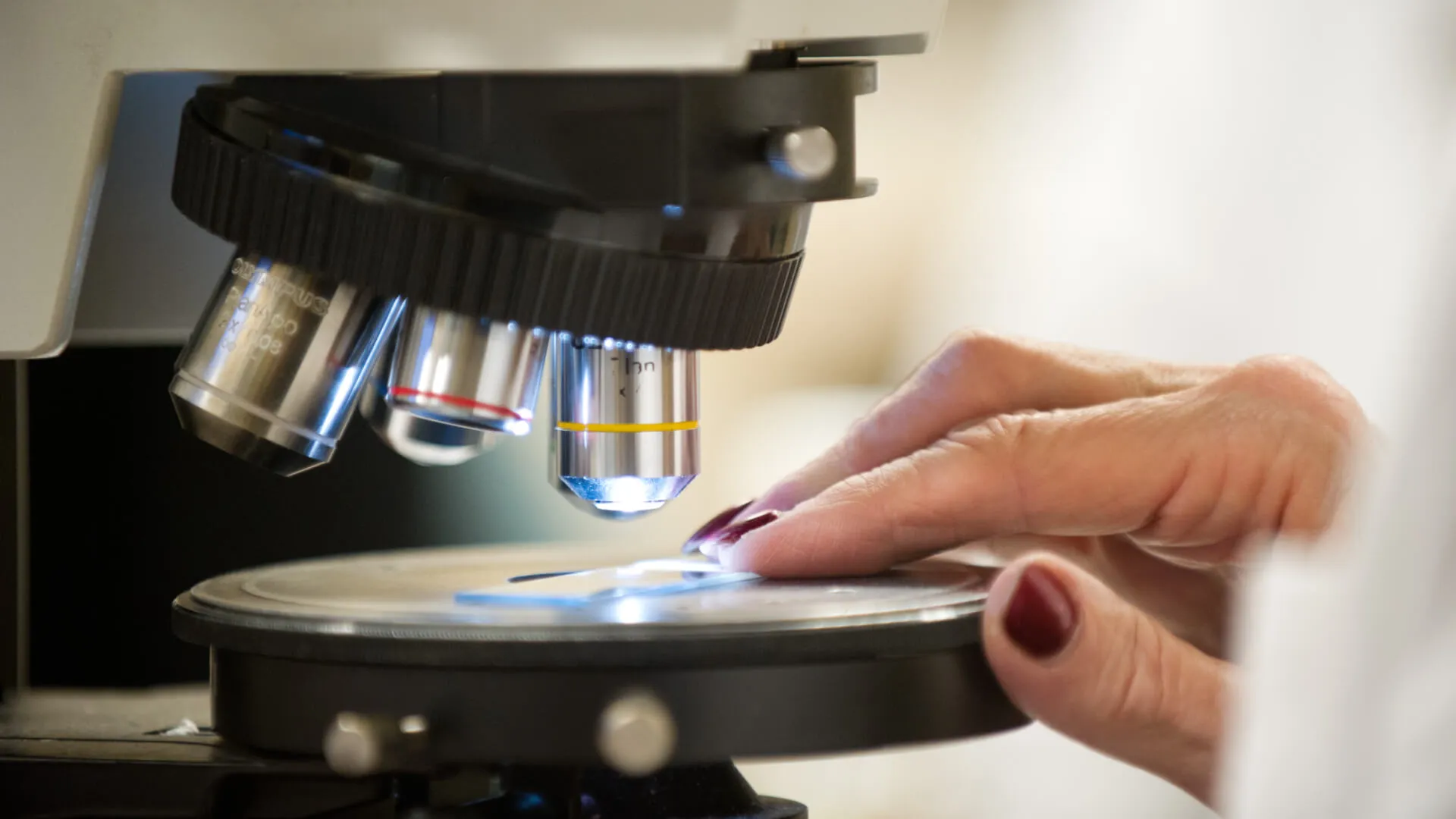 close up view of a slide on a microscope