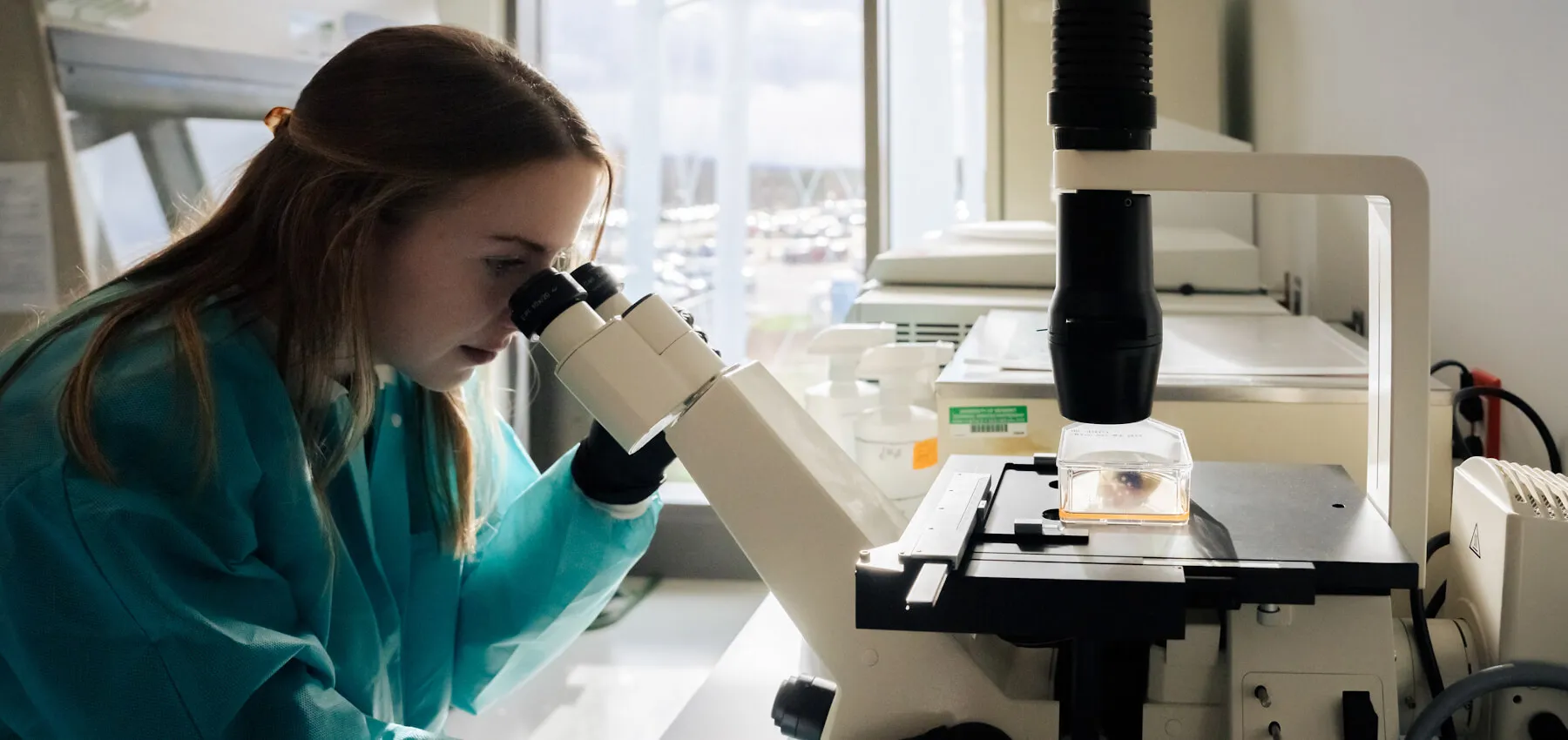 Student looking through microscope