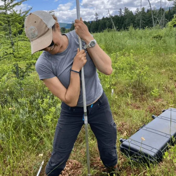 a young woman pushes a soil augur into a peat bog