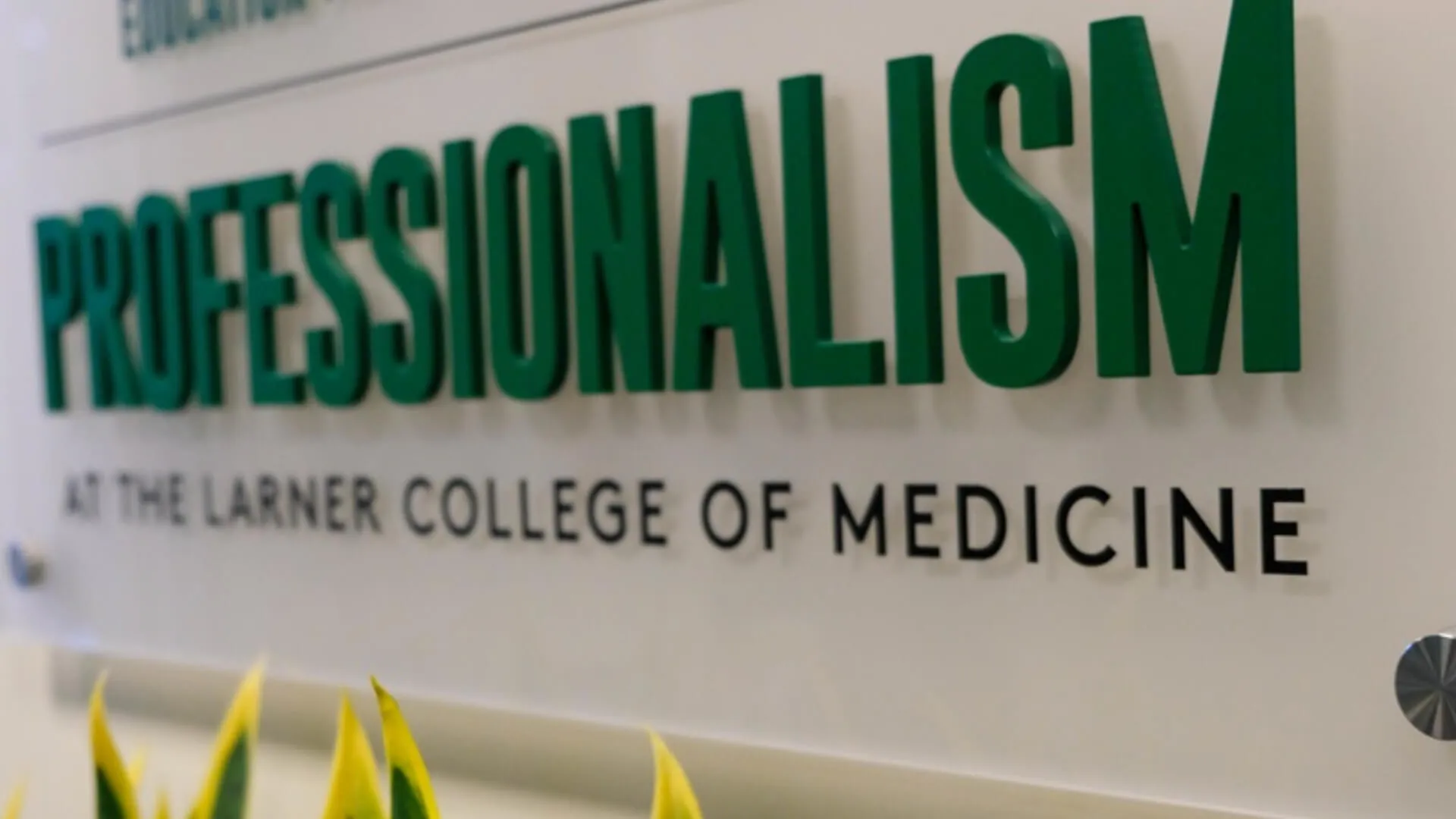 Interior sign that reads "Professionalism" in green lettera