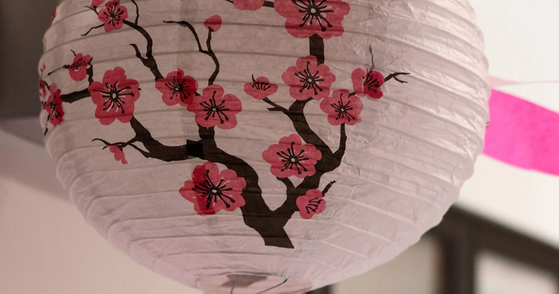 Close-up of a paper lantern decorated with pink cherry blossom branches.