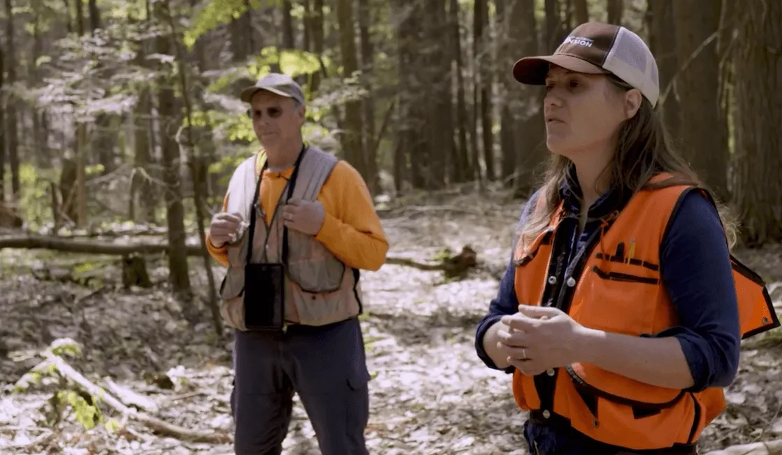 two foresters with orange vests in the woods