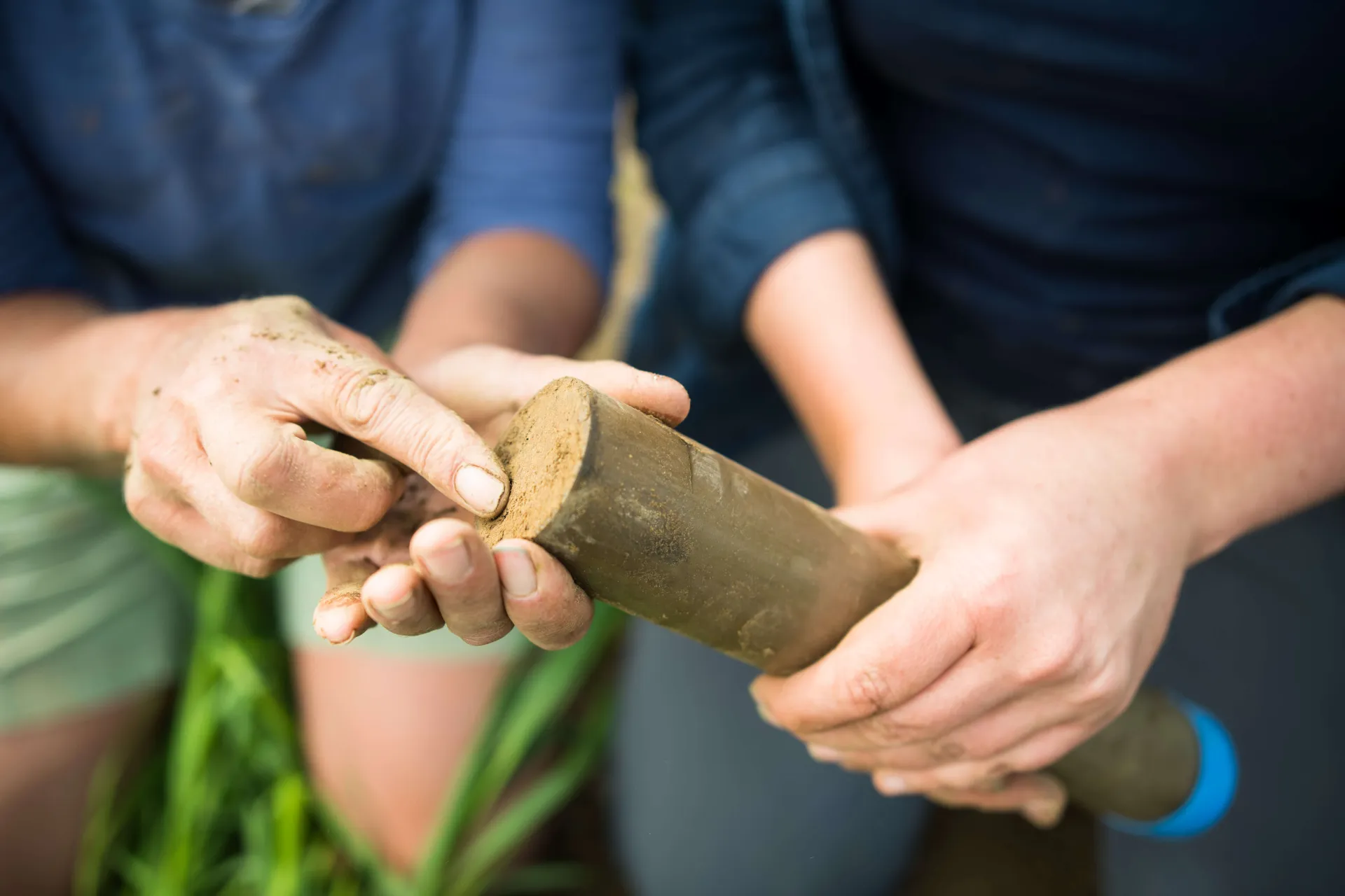 Two people holding soil core. 