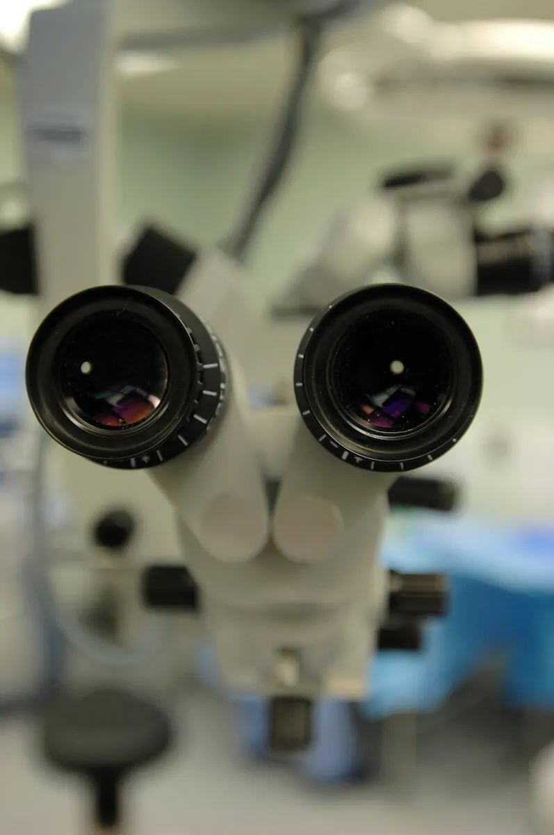 Photo of the lenses on a two-eyed microscope