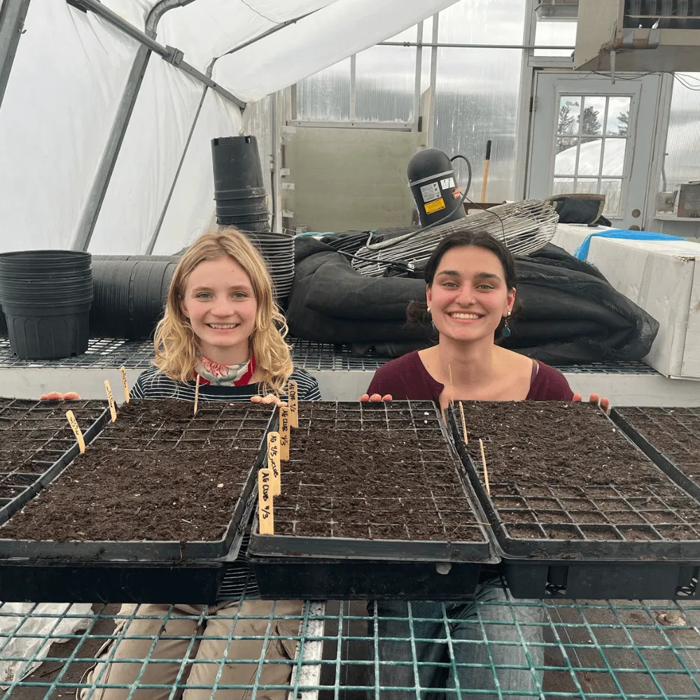 UVM Agriculture Club members starting seeds in trays in greenhouse