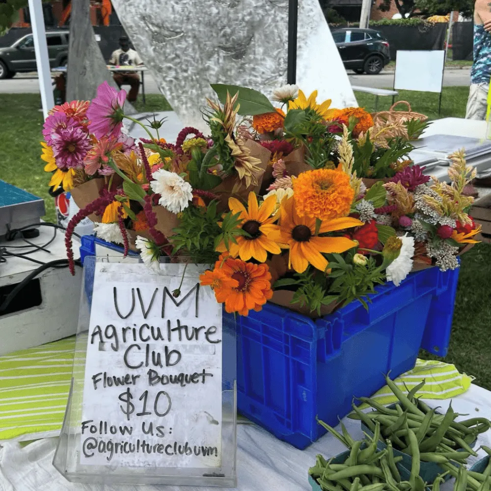 Bouquets of pink and orange flowers in a blue bin on a table at the farmers market