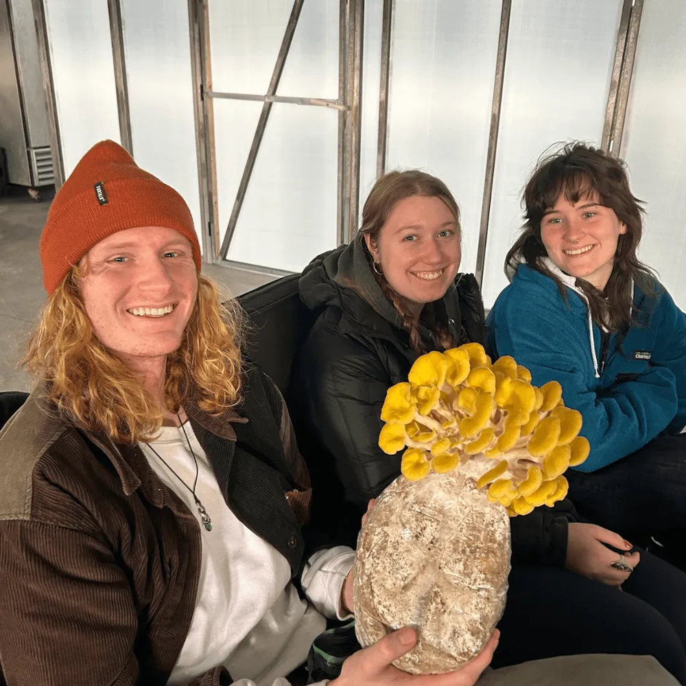 UVM Agriculture Club members holding mushrooms growing in substrate