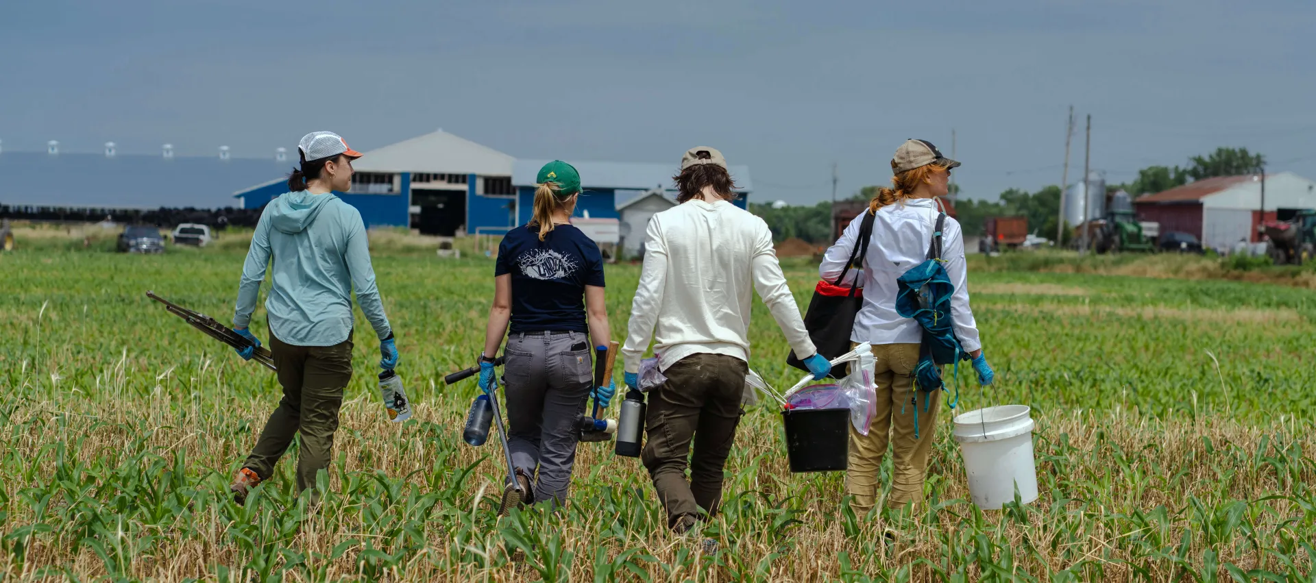 Four students walking in a field with tools to do research