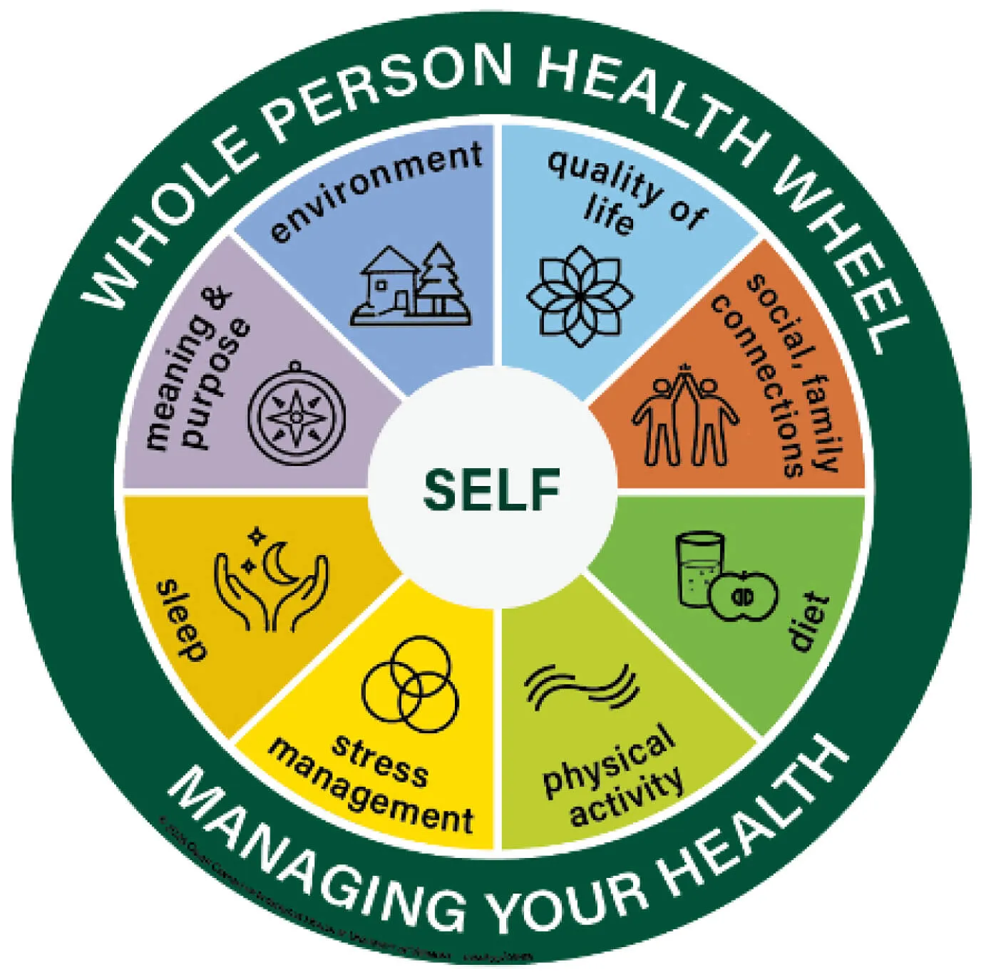 Whole Person Health Wheel Osher UVM