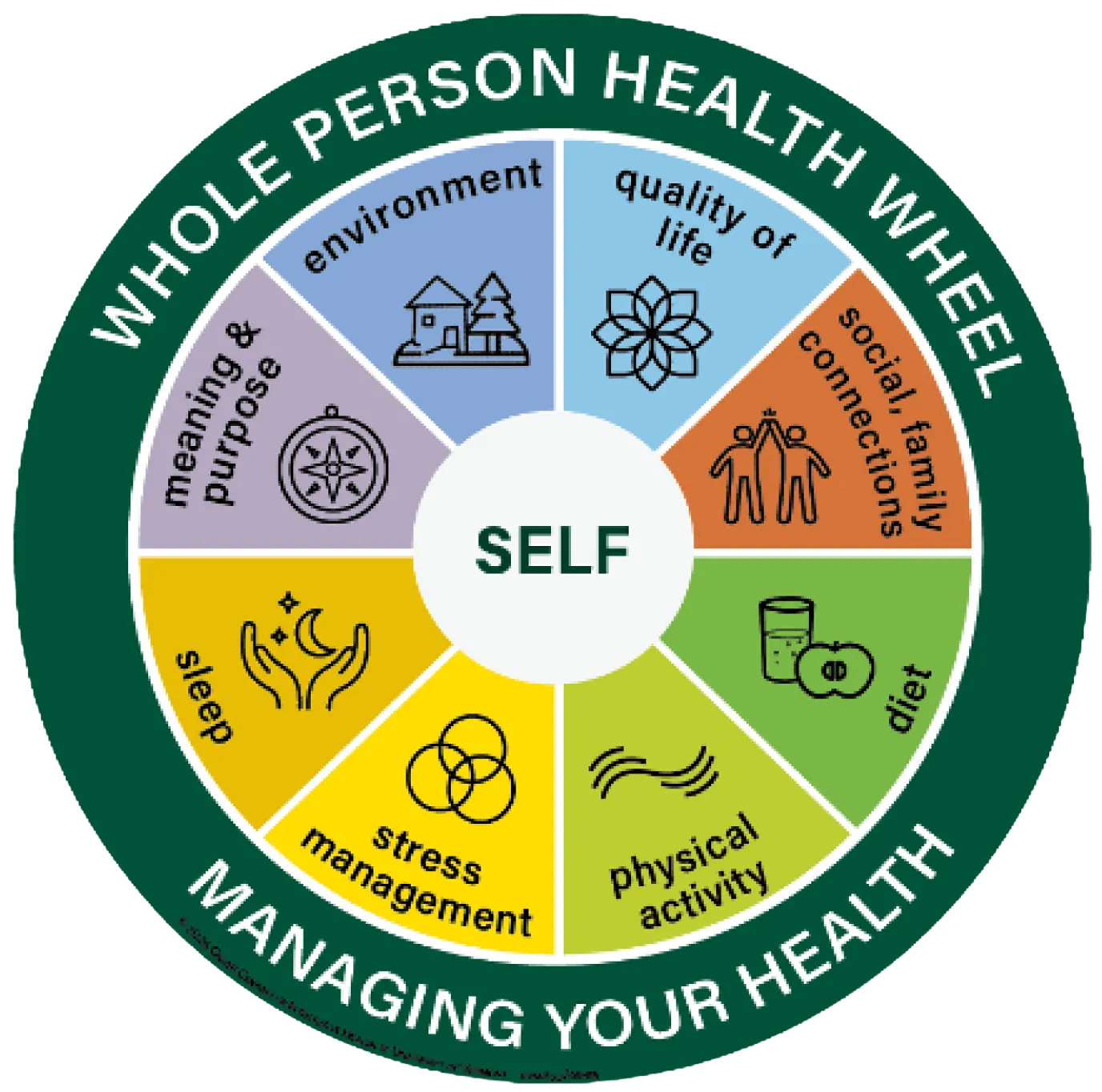 UVM Whole Person Health Wheel