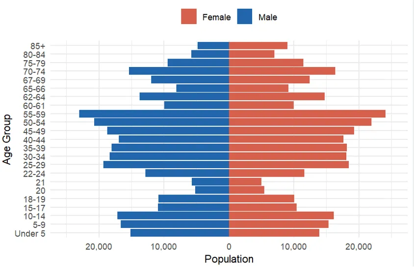Age pyramid of Vermont's population in 2020. The blue half is the distribution of the males and the red of females.We see that most of the population between 29 and 59, with far fewer young people and kids. 