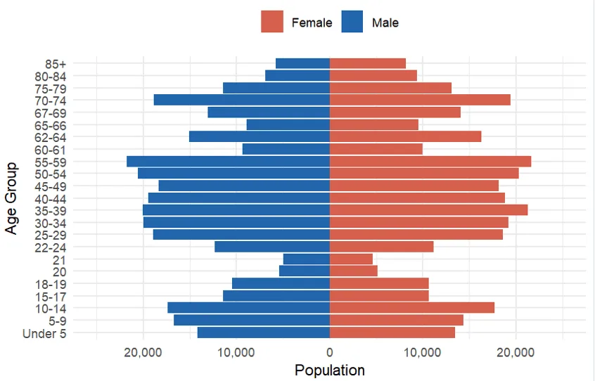 Age pyramid of Vermont in 2024. It is a similar image to the one in 2020 but we see an increase in the number of people of 67 and 85+ years old.