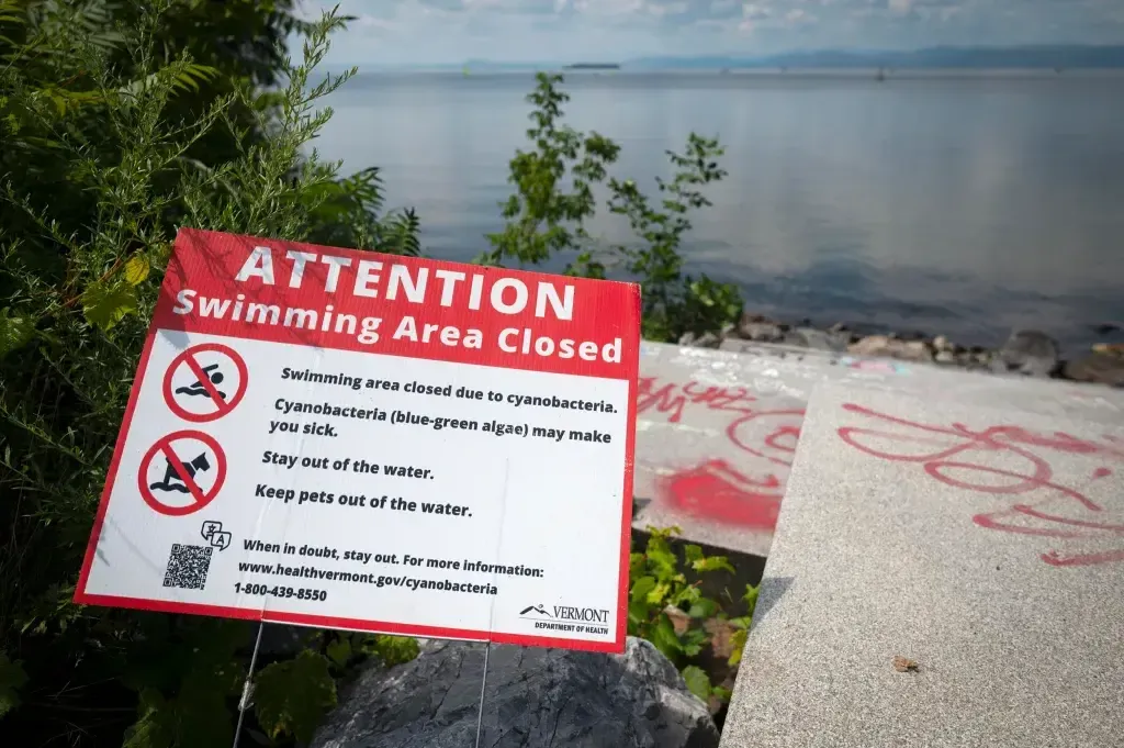 A sign by a lakeshore reads "Attention: Swimming Area Closed" due to cyanobacteria, warning people and pets to stay out of the water.