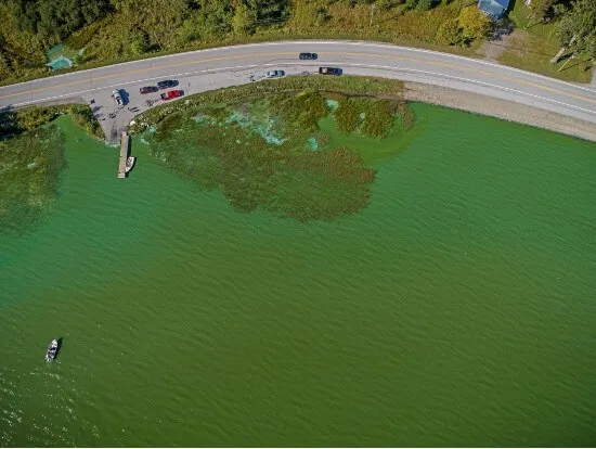 Tempers flare at lake carmi watershed meeting