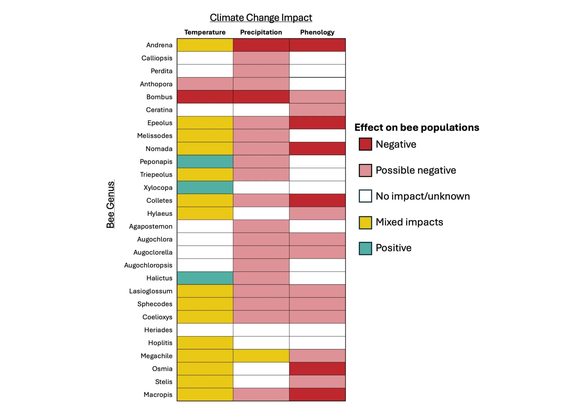 Chart with each square colored based on climate change impact (columns) effect on bee genus populations (rows). Effects are negative (dark red), possibly negative (light red), not known or there is no effect (white), mixed impact (yellow), or positive (green). Temperature shows mostly mixed impacts on various species with some positive and negative effects, while precipitation shows mostly possibly negative effects. Finally, phenology shows a combination of negative and possible negative impacts with no oth