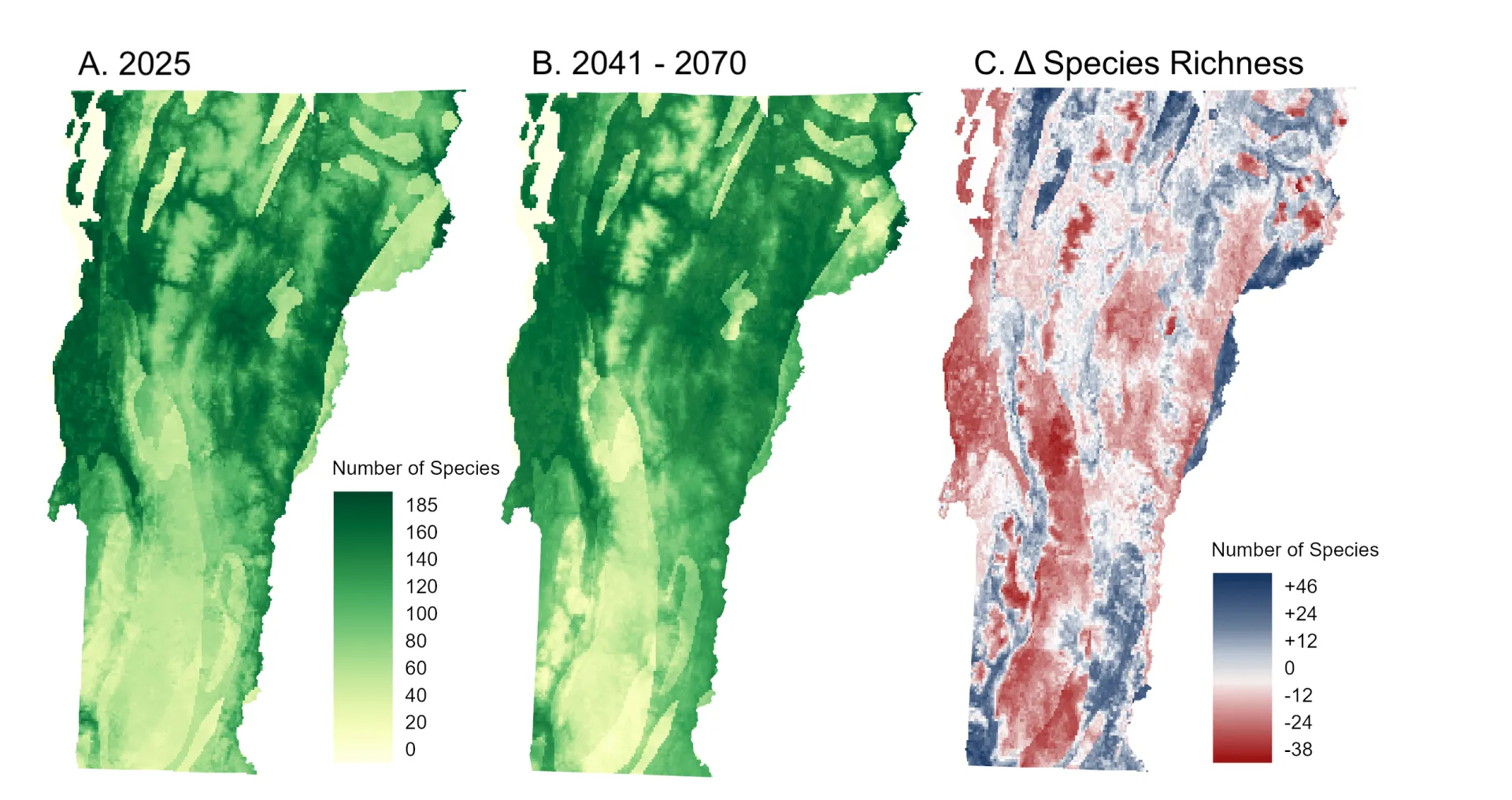 Three maps of Vermont. Map A is bee species richness in 2025 and B is predicted bee species richness in 2041–2070. Map C is the change in the number of species between A and B. Map C shows high concentrations of species richness loss across the state especially through the vertical middle of the map and along Lake Champlain. Some positives in blue are found along the New Hampshire border, New York border and in the far north of the state, though concentrations are low. 