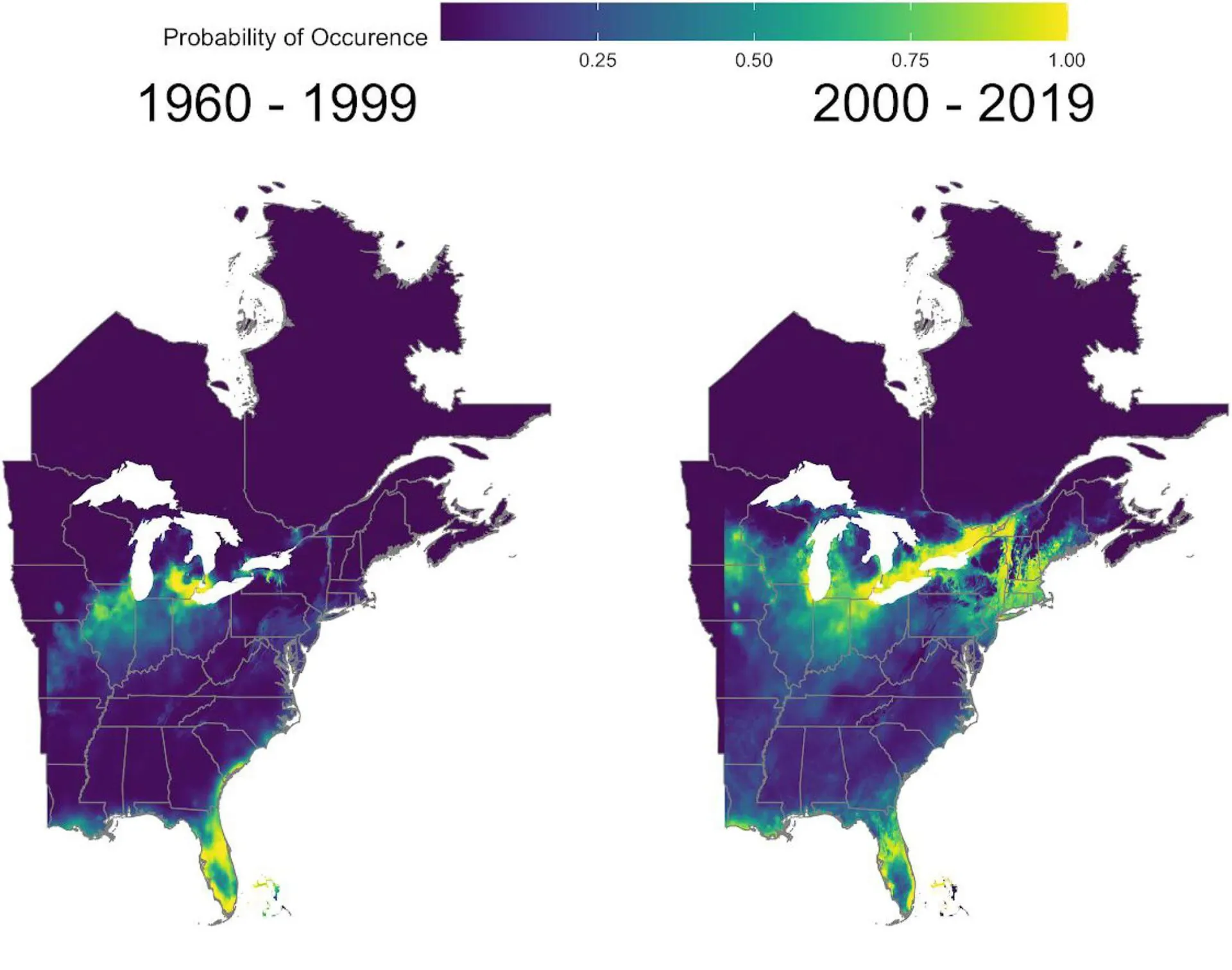 Two maps of the eastern United States and Canada with the probability of occurrence of the eastern giant swallowtail projected on it; low probability is dark blue with a gradient up to yellow for high probability. The left map is for 1960 to 1999 with the highest probability in Florida and around the Great Lakes. The right map is for 2000 to 1999; there is now much higher probability in the northeast United States, including Vermont, and southern Canada.