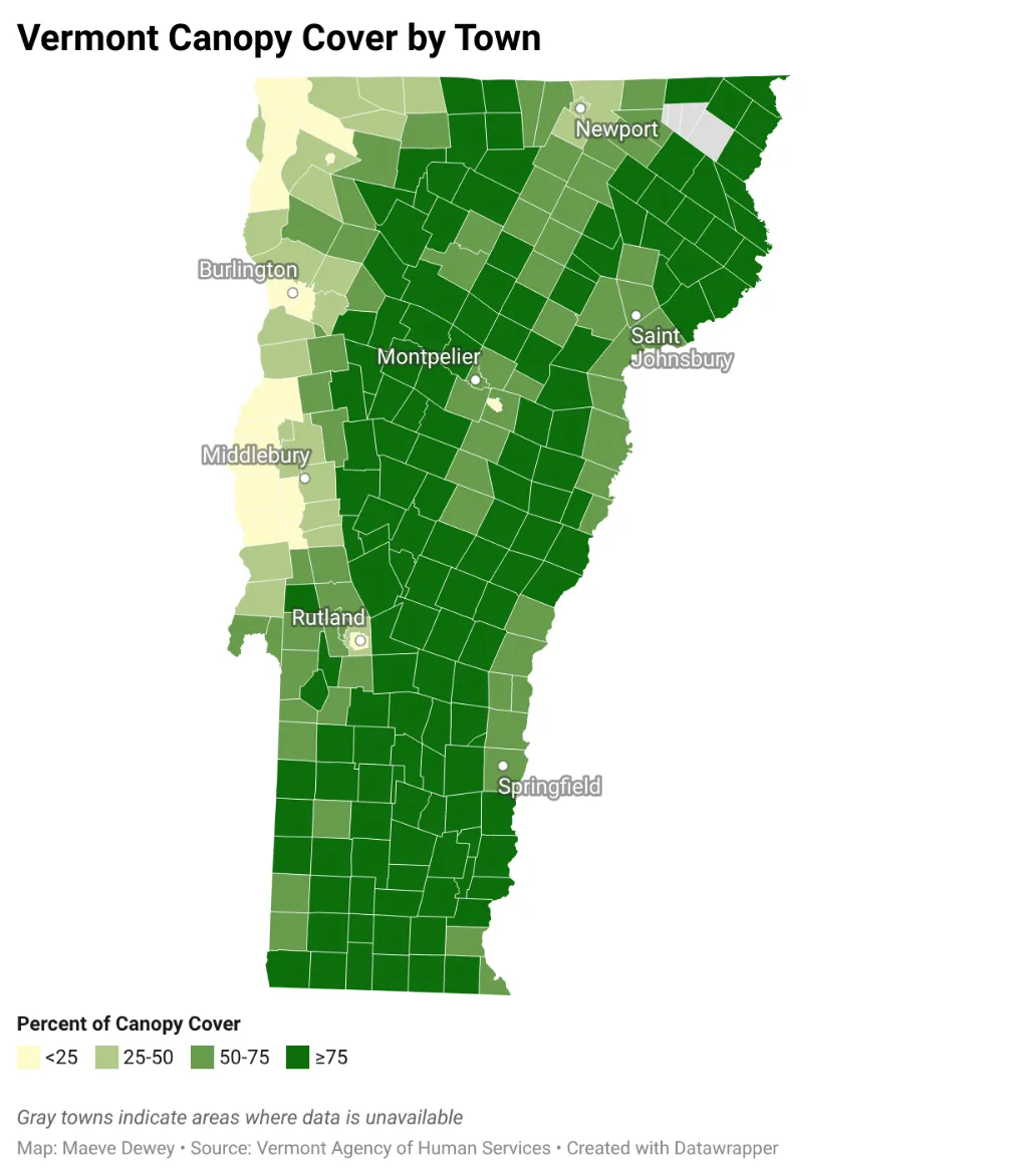 A map of Vermont color coded by town to show tree canopy percentage. Most of the state is light green or dark green, indicating over 50% canopy cover. Urban centers like Burlington, Rutland, and Middlebury have lower canopy cover (<25%)