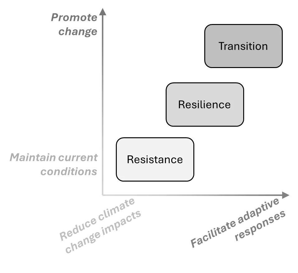 A conceptual graph showing management strategies. The vertical axis moves from "Maintain current conditions" up to "Promote change” and the horizontal axis moves from "Reduce climate change impacts" right to "Facilitate adaptive responses." Three boxes are arranged from the bottom left and moving toward the top right, labeled Resistance, Resilience, and Transition.