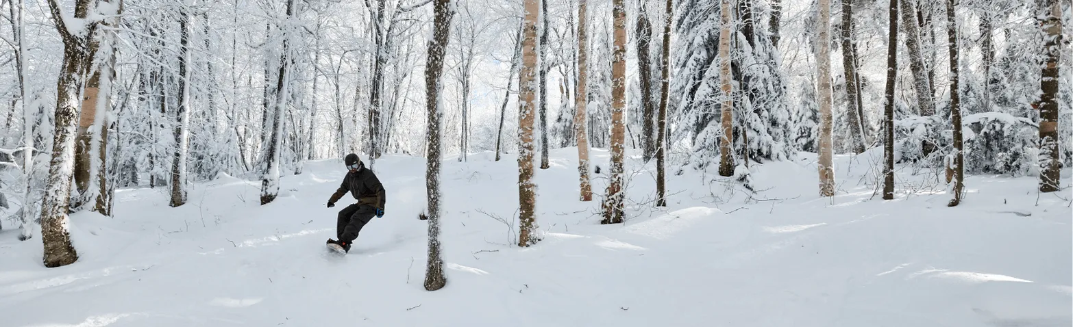 Decorative. a person snowboarding in the woods