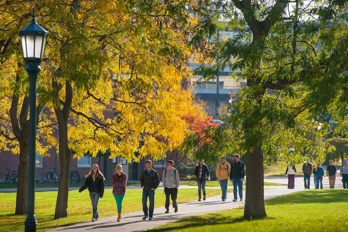 Students walk on campus near fall trees
