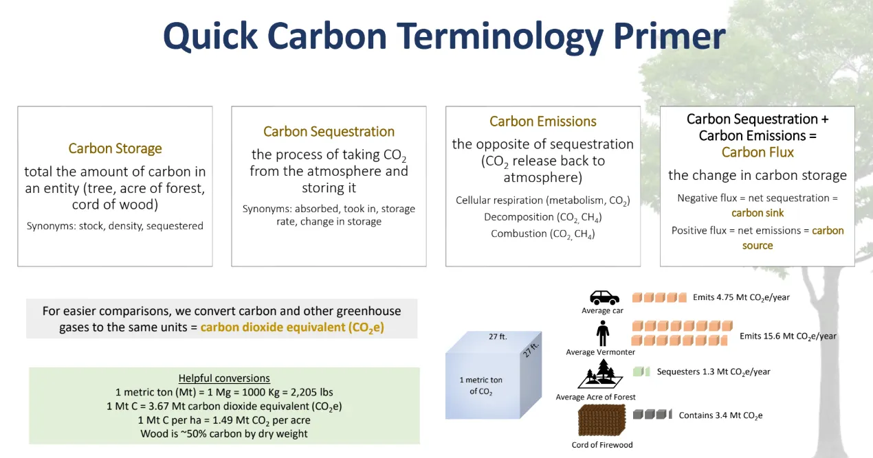 quick carbon terminology