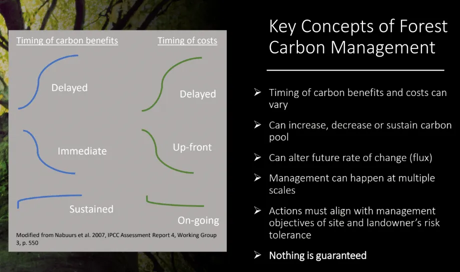management for forest carbon