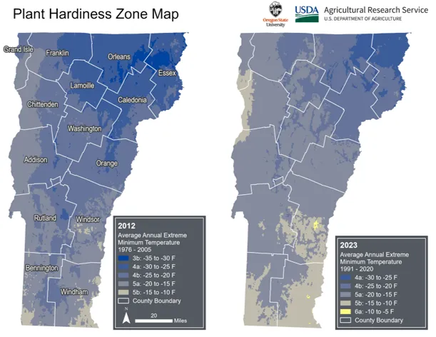 Two maps of the state of Vermont are shown side by side, with the left side map displaying USDA plant hardiness zones in 2012 and the right showing the zones in 2023. Across the state, most areas have shifted one zone warmer, and the coldest zone in Northeastern Vermont has disappeared in 2025. Vermont also added a new warmest zone (yellow) in southeastern counties. 