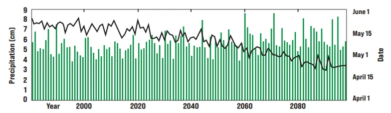 A bar graph showing cumulative precipitation in the preceding 21 days before the last spring frost and a corresponding trendline of when the last spring frost is expected to occur between the years 1980-2100. Cumulative precipitation is shown to experience more regular, high precipitation levels, though annual fluctuations still occur. Meanwhile the last spring frost fluctuates annually but trends toward earlier dates in the future.