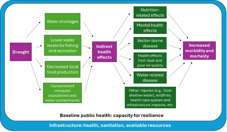 Conceptual figure using boxes to show how drought causes indirect health effects, which can lead to increased morbidity and mortality. An example pathway: drought causes decreased local food production which causes nutrition-related effects which can lead to increased morbidity and mortality. Both baseline public health and its capacity for resilience and infrastructure (including health, sanitation, and available resources) influence the pathway.